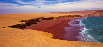 New Website Launched&excl;