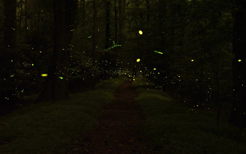 Swipe To View More Images