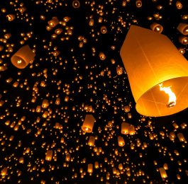 Click Here To View Larger Image