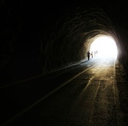 Click Here To View Larger Image